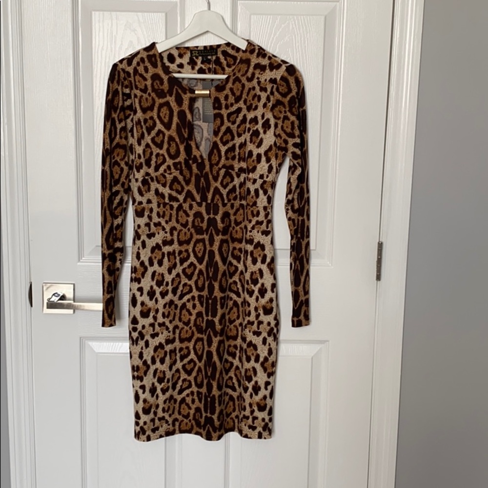 Leopard Dress with Long Sleeves.